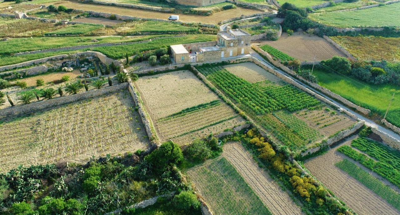 Sant Anton Tal-Qabbieza Farmhouse Villa Kerċem Eksteriør bilde