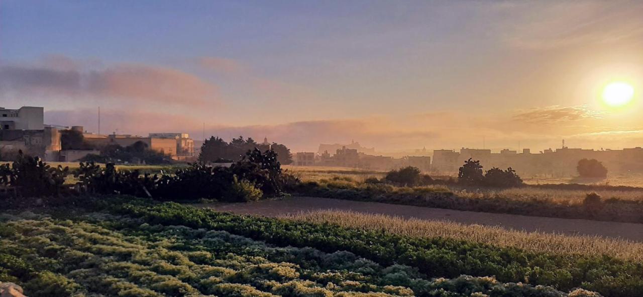 Sant Anton Tal-Qabbieza Farmhouse Villa Kerċem Eksteriør bilde